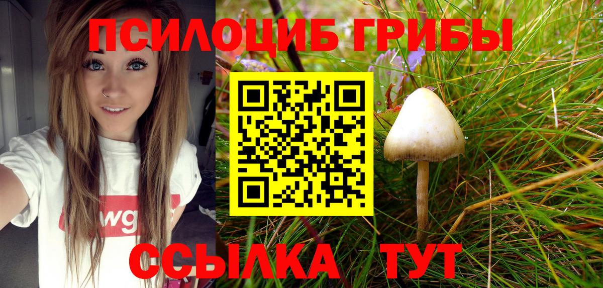 Галлюциногенные грибы GOLDEN TEACHER Городец